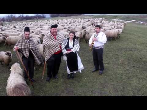 Camelia Grozav - Mai ciobane Niculaie