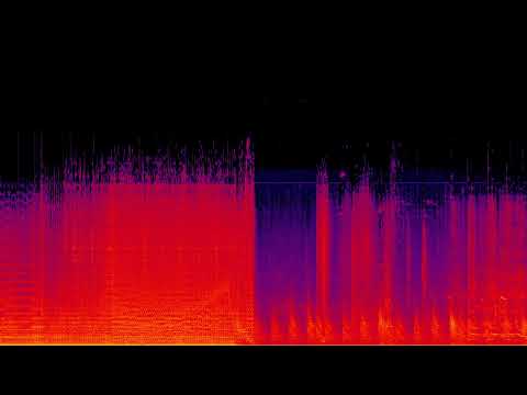 Catscan Live at Sensation Black 2006 | Hardcore Techno Set