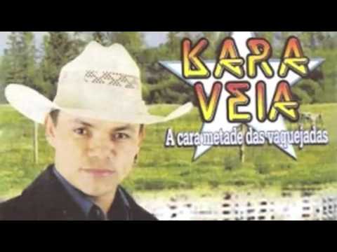 KARA VEIA   BOI DE CARRO