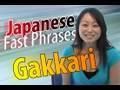 Japanese Gakkari