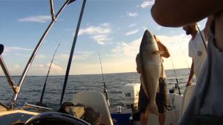 Red Drum fishing off Bayford Virginia in the Chesapeake Bay, sprayed by Drum!
