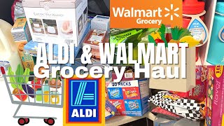 ALDI CAR GROCERY HAUL AND WALMART - BACK TO SCHOOL