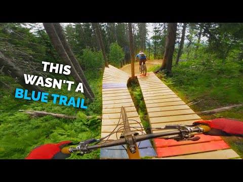 We Thought This Trail Was Blue - It Was Not