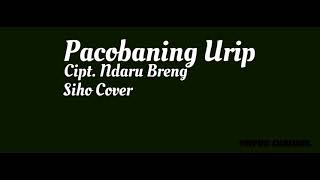 Download lagu (Clip perjalanan)  Pacobaning urip - Ndaru Breng (Siho cover) mp3