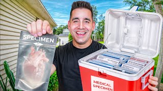 4 HIGH PAYING Medical Courier Side Hustles To Try