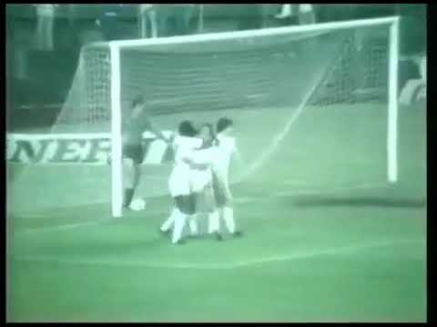 Claudio Adão (Fluminense) - 16/09/1981 - Fluminense 5x2 Volta Redonda - 3 gols