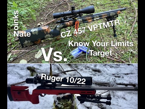 CZ 457 VPT MTR vs Ruger 10/22 Custom : Know Your Limits Target