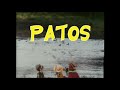 Plaza Sésamo Sesame Street Patos Swans