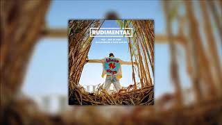 Download lagu Rudimental - These Days feat. Jess Glynne, Macklemore & Dan Caplen | DIY Acapella mp3