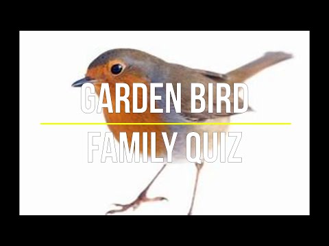 Home Schooling Challenge Quiz - Know your birds? Common Garden Bird Quiz