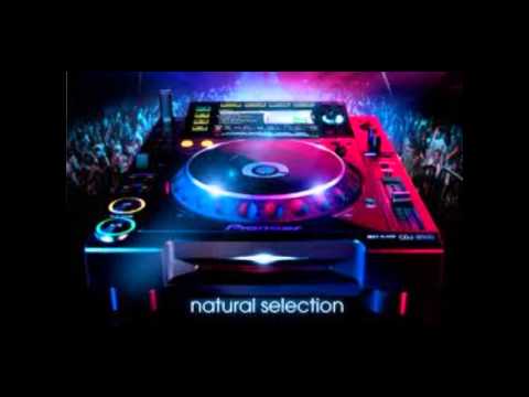 Mc Lukey P & Rennie ( Bassline Pressure )