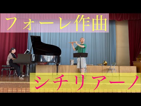 プロ演奏家がフルートを高品質でレコーディングします イメージ1