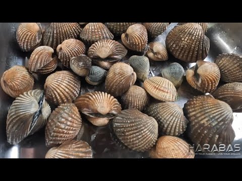 EP762-P2 - Natagpuan na ang Talukhang | Occ. Mindoro