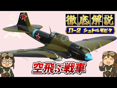 イリューシン IL-2 - 定義