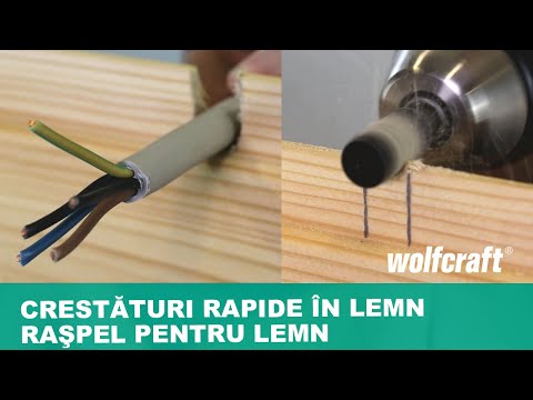 4376000-4379000_Rotary-Rasp-for-Wood-hexagon-shank_PRO_MCP_ro_2017.mp4