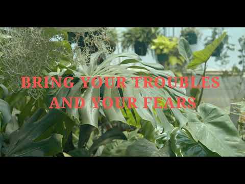 Lay Your Head Down Music Video by John Tibbs