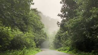 preview picture of video 'Kudremukh National Park Drivethrough full HD'