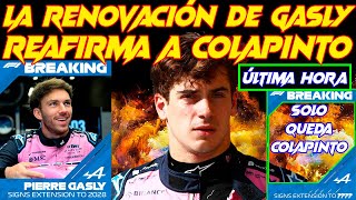 RENOVACIÓN DE GASLY DEJA A COLAPINTO A LAS PUERTAS DEL NUEVO CONTRATO CON ALPINE F1 EN LA NUEVA ERA
