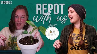 REPOT WITH US | Episode 02 | MY CLEAN LEAVES