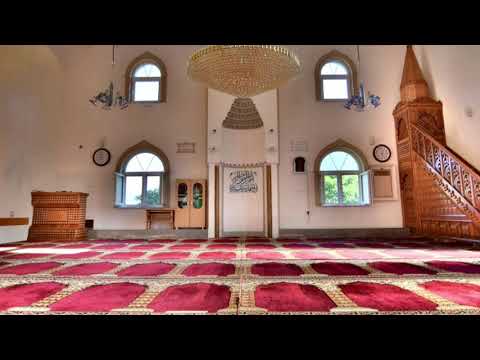 Najveće kajanje - mr. Miralem ef. Misini