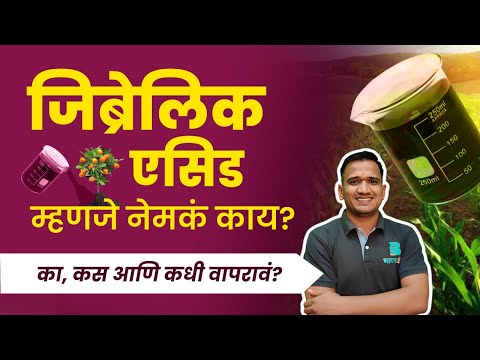 GA म्हणजे काय? जाणून घ्या घटक, कार्य आणि उपयोग | जिबरेलिक एसिड 0.001 | Gibberellic acid marathi 😱✌️✅
