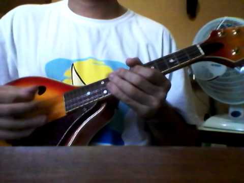 The pink panther theme mandolim cover