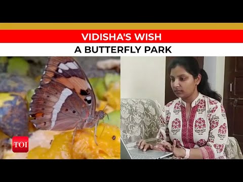 Meet Vidisha Gupta: This Haryana girl works towards conservation of butterflies