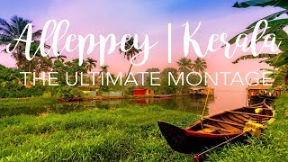 Explore Alleppey