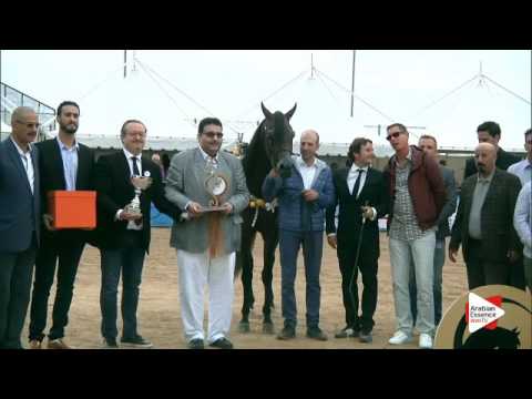 Menton 2016 - Senior Male Championship - Prizegiving - 1st place: n. 131