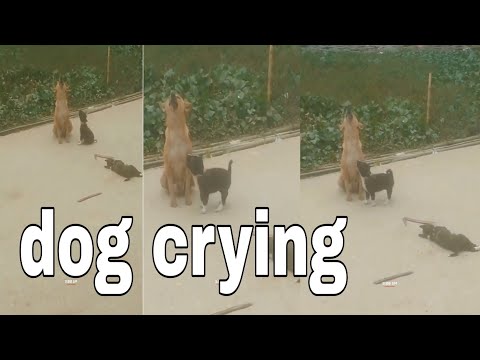 When your loved one leaves, you feel it