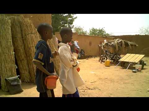 A Day in the Life of a Garibou