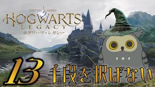 「Hogwarts Legacy/ホグワーツ・レガシー」　#13　　手段はあくまで過程だ