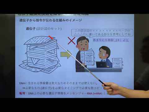【農学部 生物資源科学プログラム】模擬授業「バイオテクノロジーを利用して植物の見た目を自在に変えよう」