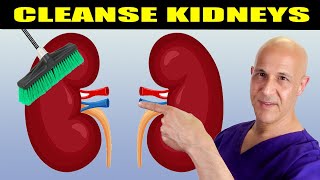The Best Juices & Herbs to Cleanse & Repair Your Kidneys | Dr. Mandell
