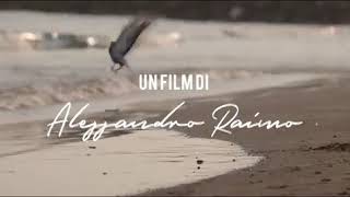 Peppe soks 'Na Na Na'