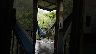 Download lagu Tranquility 🇨🇷 #riobreeze #costarica #travel #beautifulnature #puravida mp3 Download lagu Tranquility 🇨🇷 #riobreeze #costarica #travel #beautifulnature #puravida mp3