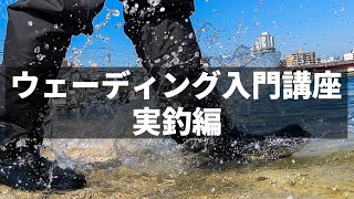 【実釣編】ウェーディング入門講座【初心者】