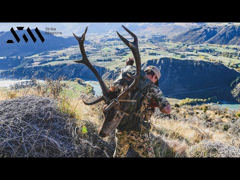 Hunting for RED STAG During The Rut In NEW ZEALAND!!