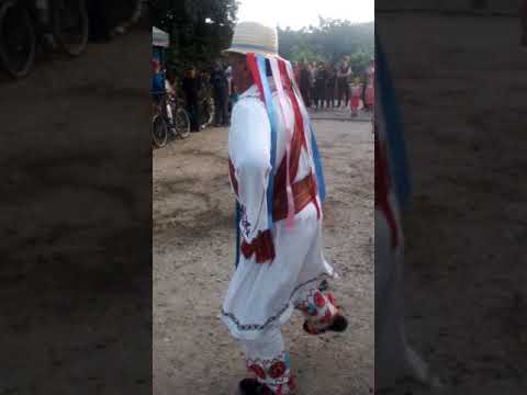 Calusul la cotofenii din dos