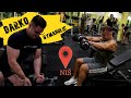 Grudi i Ramena u Nišu ☆ Darko Gymaholic Novo YOUTUBE pojačanje