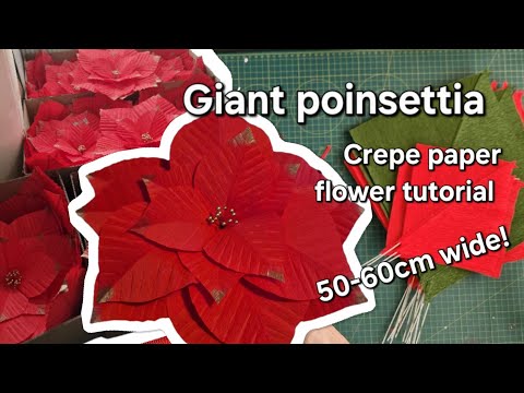 Giant poinsettia of crepe paper diy