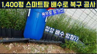 1400평 스마트팜 폭우피해 배수로 공사!/스마트팜 /장마대비/ 폭우피해