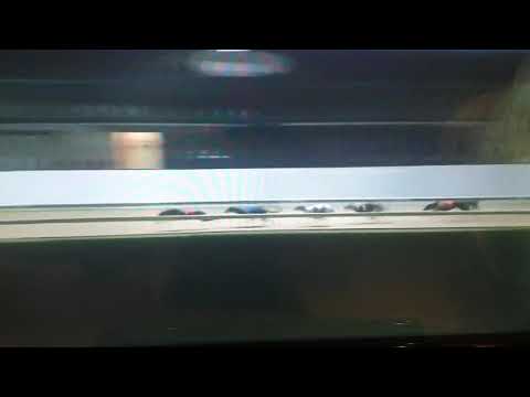 Essex Vase R1 Heat 5 - Lexie