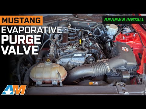 2015-2021 Mustang EcoBoost Evaporative Emissions Purge Valve Review & Install
