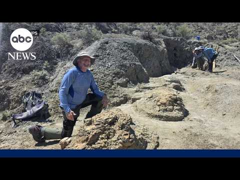 High school teacher discovers T. rex tracks in North Dakota