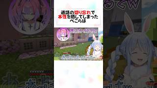 ぺこヴィヴィのイチャイチャシーン4選#shorts 【兎田ぺこら/綺々羅々ヴィヴィ】【Minecraft/ホロライブ/切り抜き】