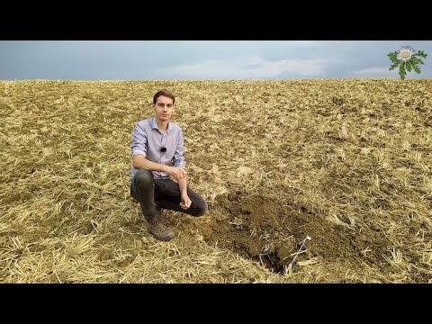 Feldexkursion 223: Rapsaussaat unter trockenen Bedingungen