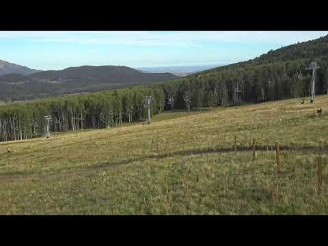 Arizona Snowbowl webcam — Hart Prairie, Aspen, Big & Little Spruce Camera