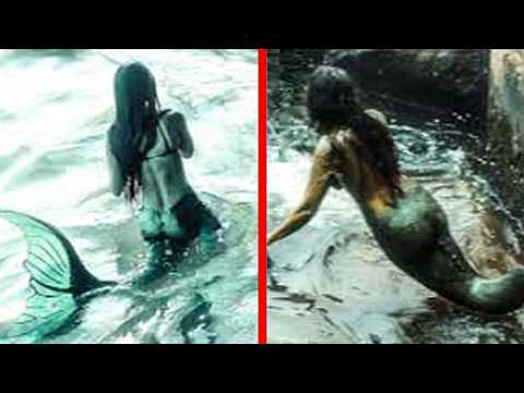 Top 10 Mermaid Legends That Might Actually Be True