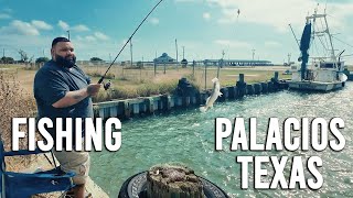 Beginner Basics of Fishing for the first time